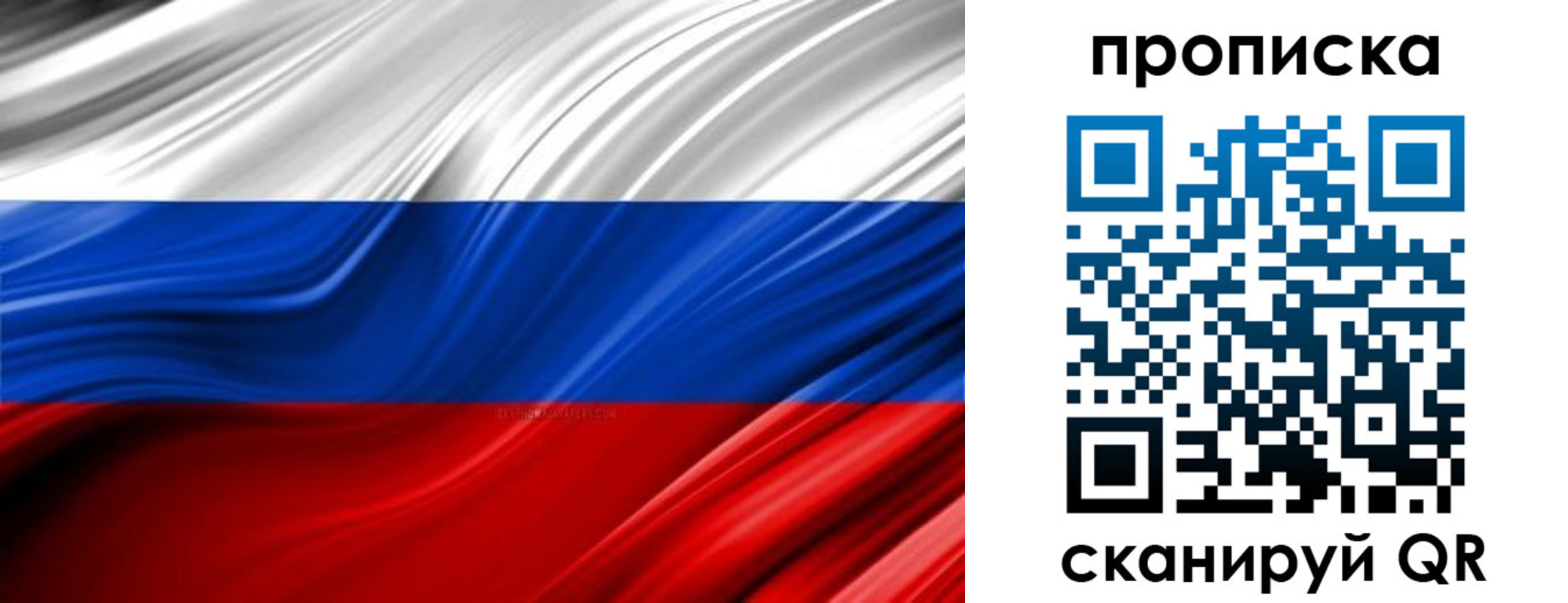 прописка для школы в Красногорске